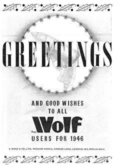 S.wolf: Wolf Electric Tools