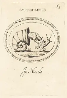Nicolo: A wolf hiding in a snail's shell to attack a hare