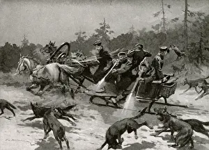 Wolves: A wolf hunt - Russia