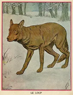 Sheepish: WOLF / NEZIERE
