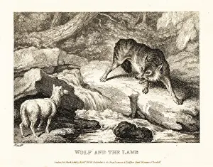 Tyranny: A wolf trying to justify killing a lamb near a river