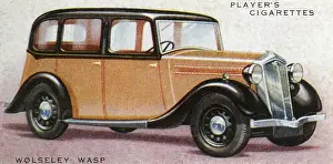 Wolseley: Wolseley Wasp