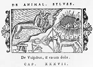 Ravages: Wolves in 16th century Scandinavia