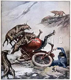 Rend: Wolves attack motor cyclists in northern Spain