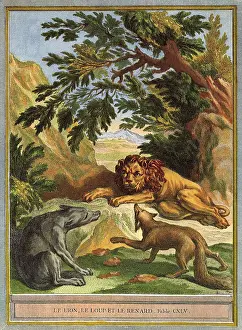 Wolves: Wolves with Lying Lion