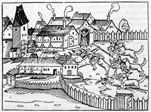 Klagenfurt: Wolves and people