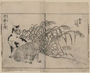 Wolves: Wolves and winter reeds