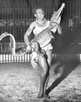 Taming: Woman with alligator, Chipperfield's Circus