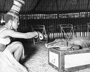 Taming: Woman with alligator, Chipperfield's Circus