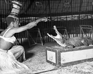 Taming: Woman with alligator, Chipperfield's Circus