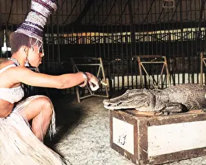 Taming: Woman with alligator, Chipperfield's Circus