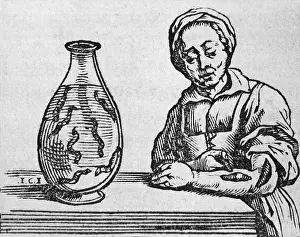 Bloodletting: Woman applying a medicinal leech to her ?