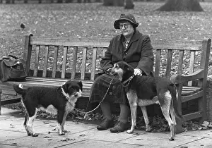 Frump: Woman on a bench with two dogs