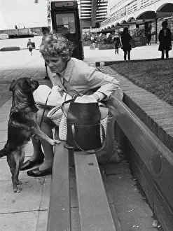 Handbags: Woman on a bench looking at a dog