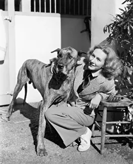 Long Haired: Woman bending next to her Great Dane to give him a hug