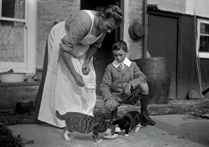 Lapping: Woman and boy with two cats