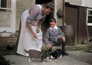 Lapping: Woman and boy with two cats