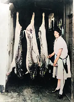 Slaughtered: WOMAN BUTCHER 1920S