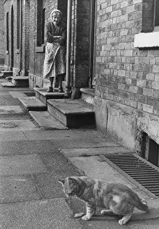 Doorstep: Woman and cat in a street