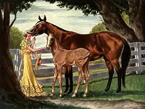 Barnyard: Woman, Colt, Dam