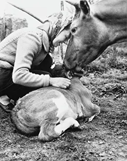 Rescuer: Woman with cow and calf