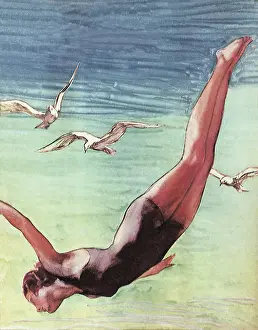 Dives: Woman Diving