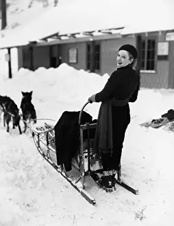 Cooperate: Woman on dogsled