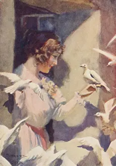 Brood: WOMAN & DOVES