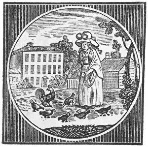 Apr17: Woman feeding hens