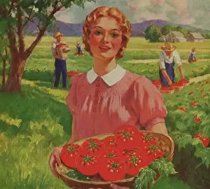 Husbandry: Woman with Fresh Tomatoes