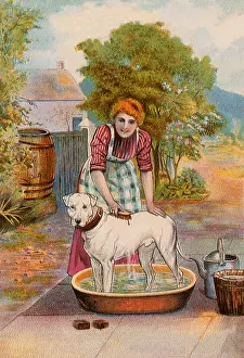 Canines: Woman gives Dog a Bath