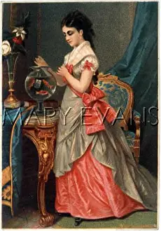 Aquariums: WOMAN AND HER GOLDFISH