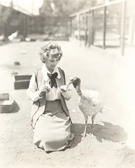 Kindness: Woman hand feeding turkey