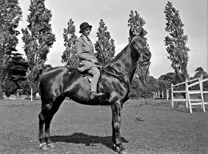 Sleek: Woman on a horse in a field
