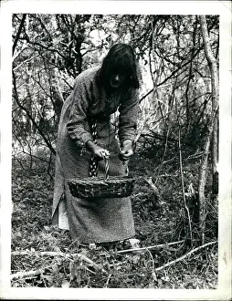 Garlic: Woman in Iron Age reconstruction BBC TV programme