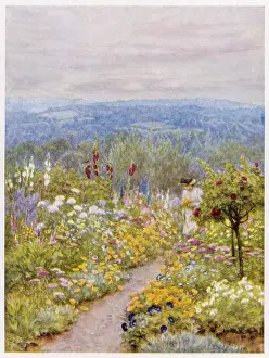 Herbaceous: WOMAN IN A KENT GARDEN