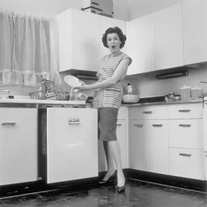 Dishwasher: Woman In The Kitchen Dishwasher