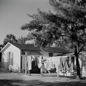 Sarasota: Woman - Laundry - Chore - Clothes Line