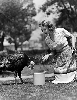 Hatchet: Woman luring turkey to hatchet with corn