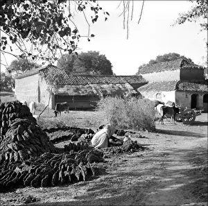 Roofing: Woman making mudbricks - Madhya Pradesh - India