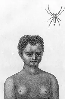 Caledonia: WOMAN OF NEW CALEDONIA