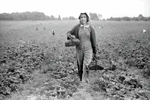 Transient: Woman - occupations - farmer - migrant worker
