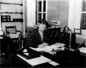 Efficiently: WOMAN OFFICE WORKER