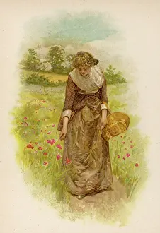 Stoops: WOMAN PICKING POPPIES
