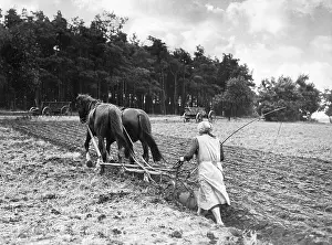 Plowing: Woman plowing, 1939