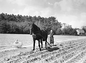 Plowing: Woman plowing, 1940