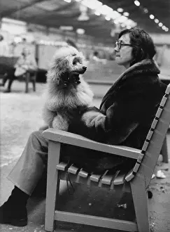 Poodles: Woman and poodle on a bench