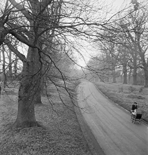 Aldworth: Woman with pram