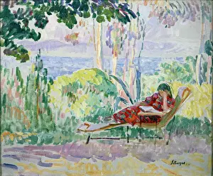 Dans: Woman reading in the garden