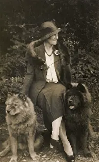 Samoyed: Woman with two Samoyed dogs